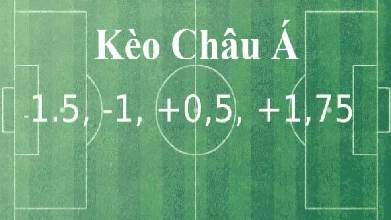 So Sánh Kèo Châu Âu Và Châu Á Cá Cược Nhà Cái Uy Tín